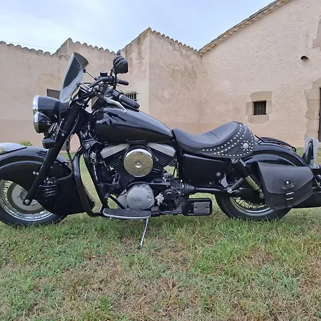 Spanienbiker *